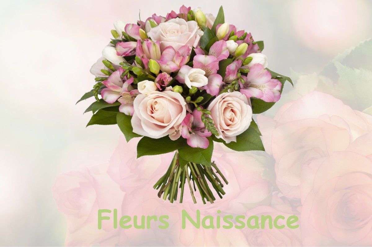 fleurs naissance LA-CHASSAGNE