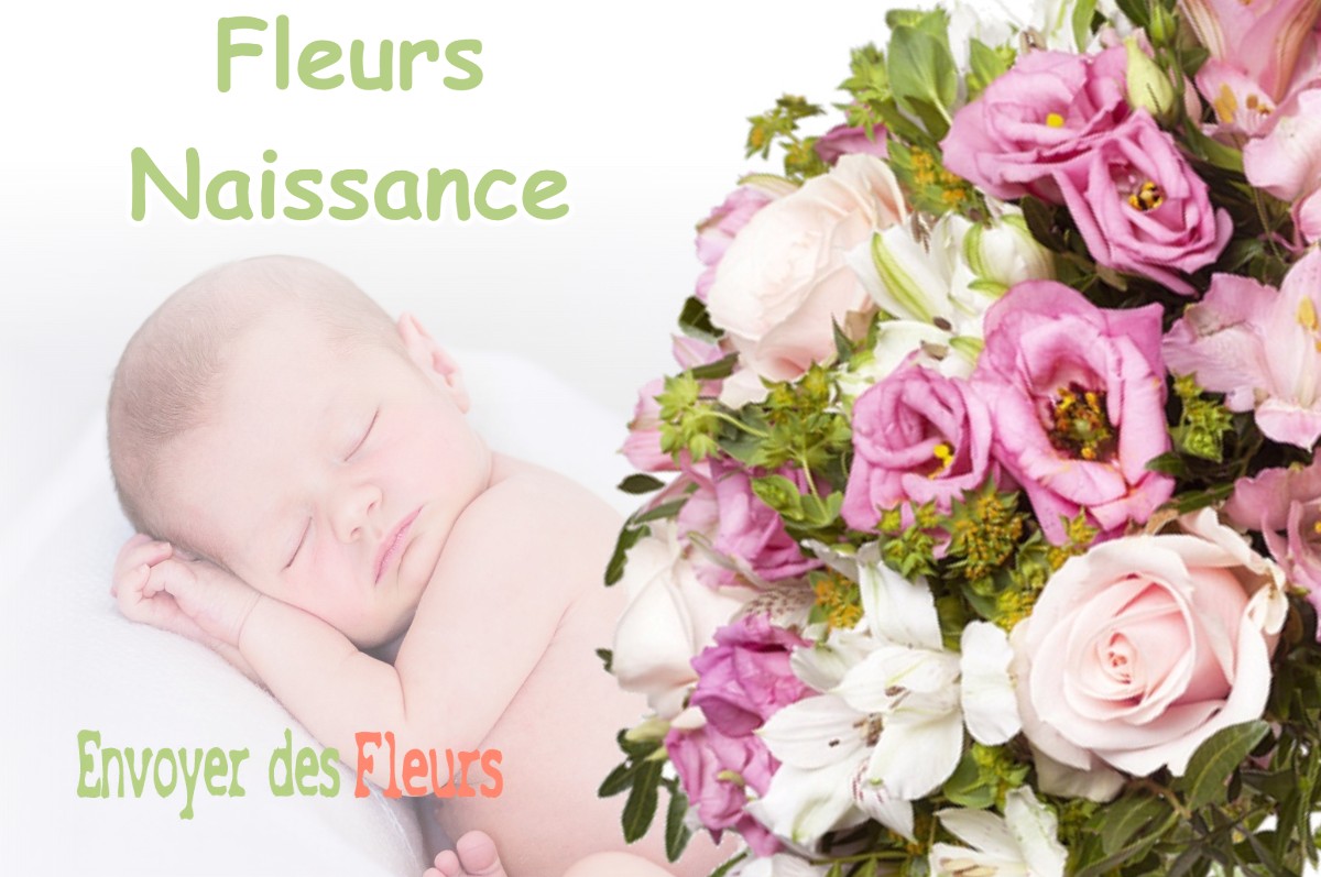 lIVRAISON FLEURS NAISSANCE à LA-CHASSAGNE